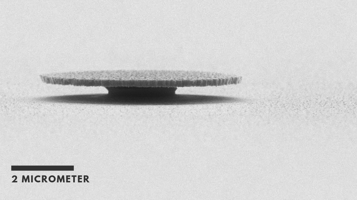 Forschungsnews: <br> "Micro Disk"-Strukturen