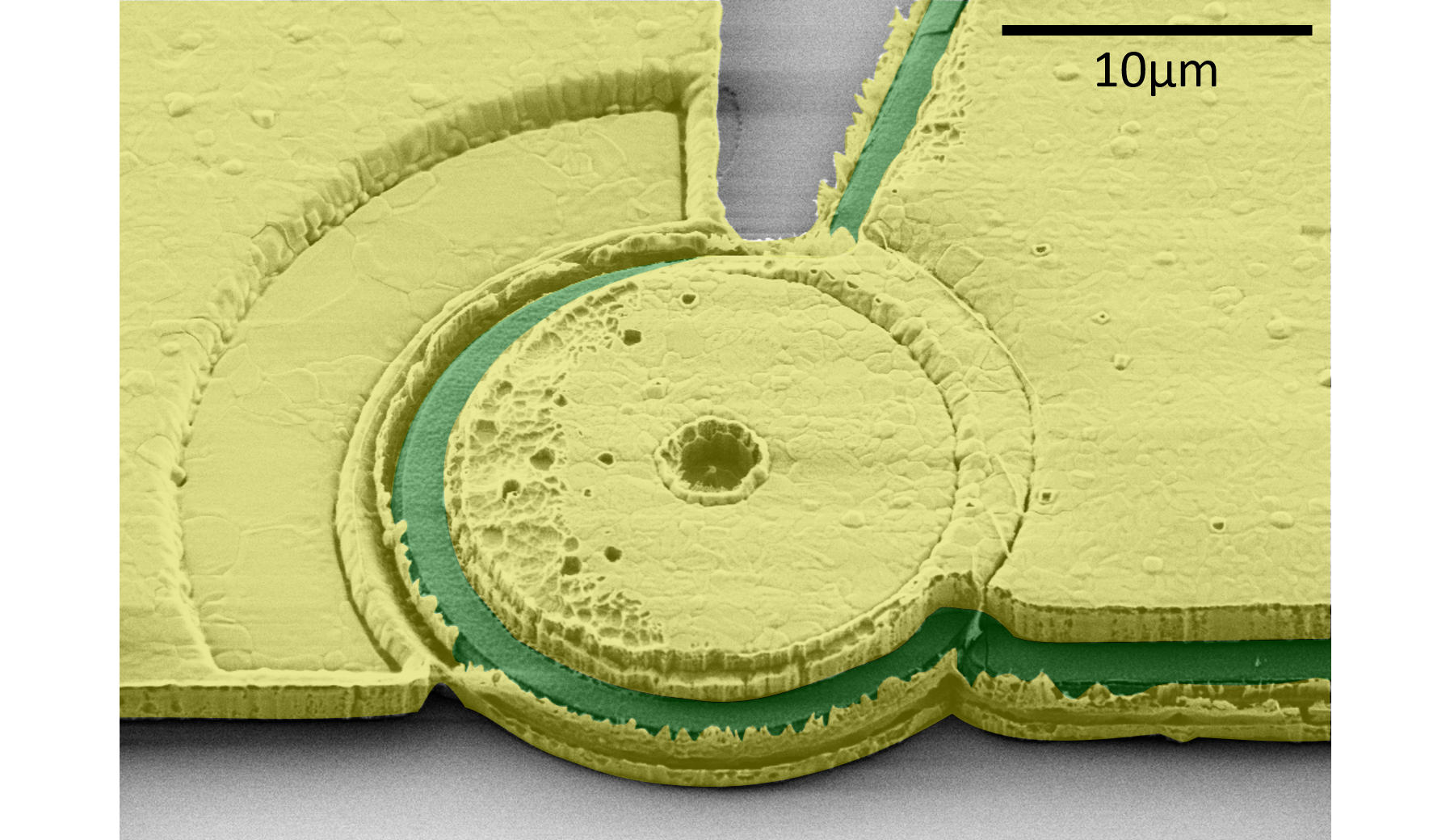 Forschungsnews: <br> "Micro Ring"-Laser